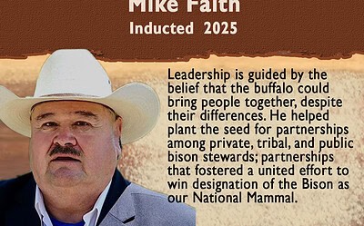 Mike Faith
